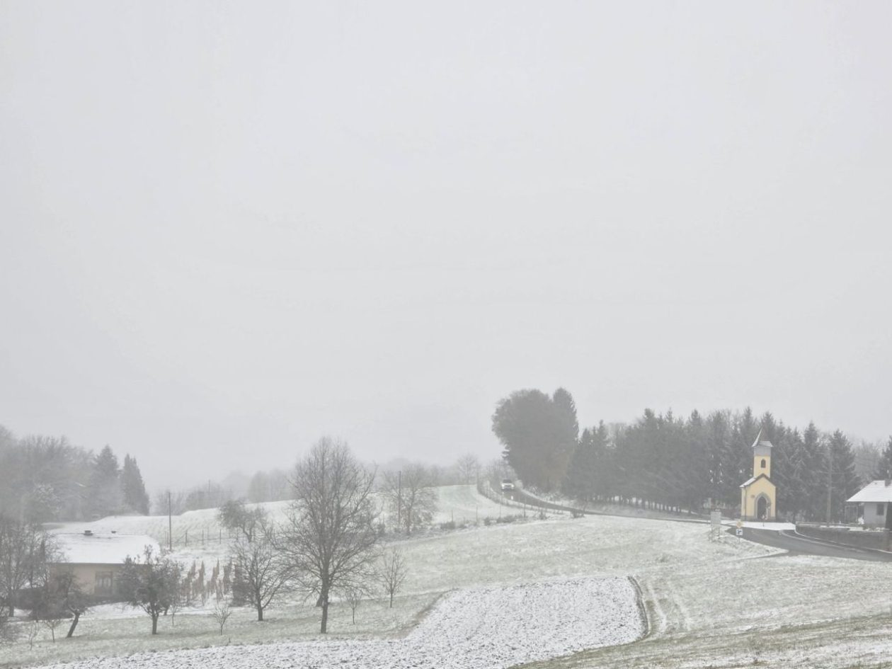 Gornje Međimurje, snijeg, pahulje 2025 zima (15)