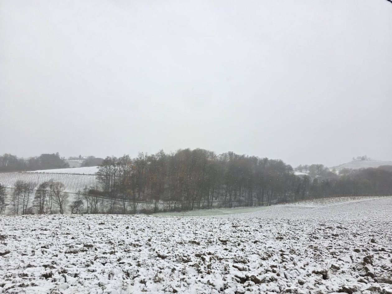 Gornje Međimurje, snijeg, pahulje 2025 zima (16)