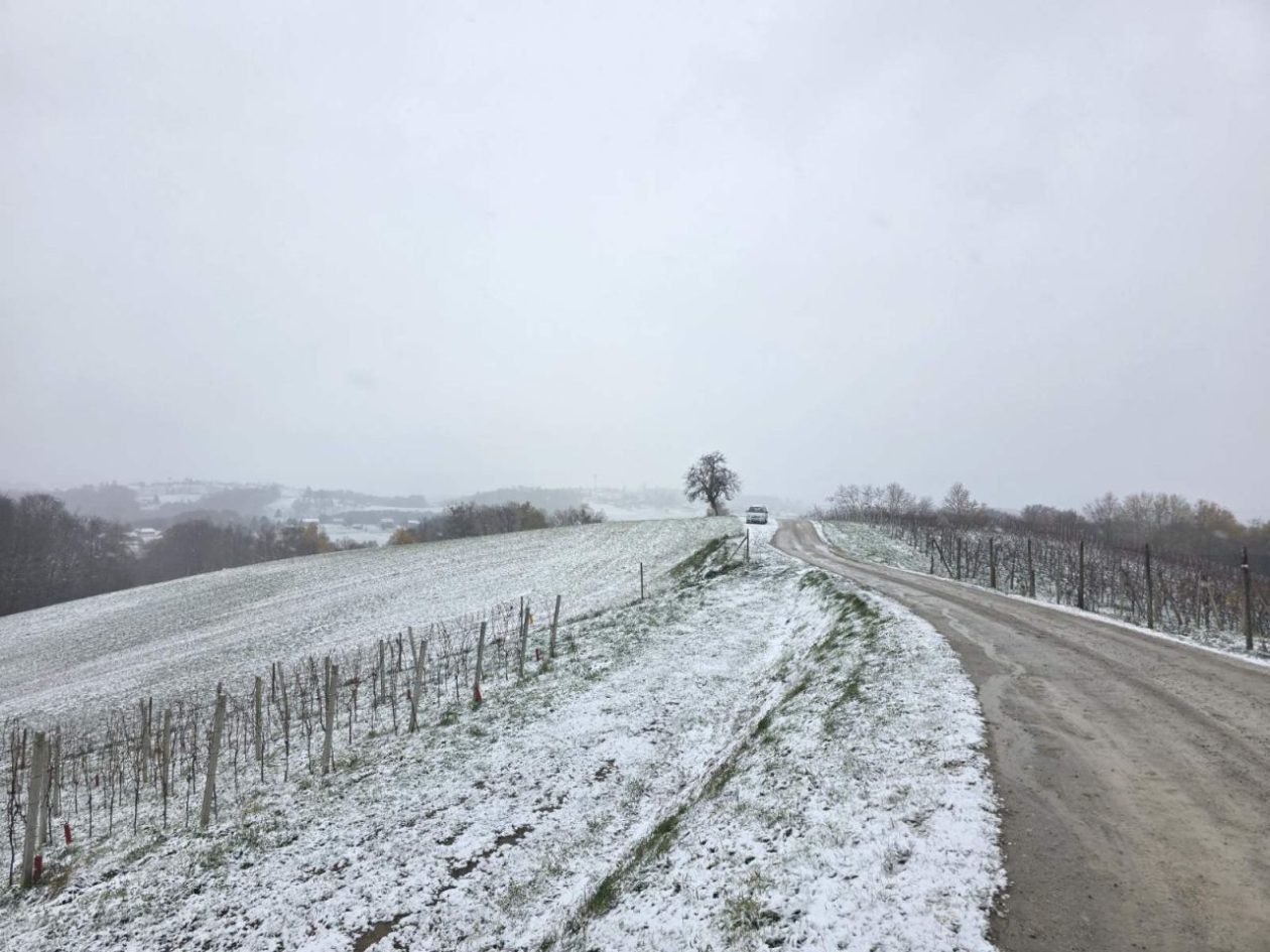 Gornje Međimurje, snijeg, pahulje 2025 zima (18)