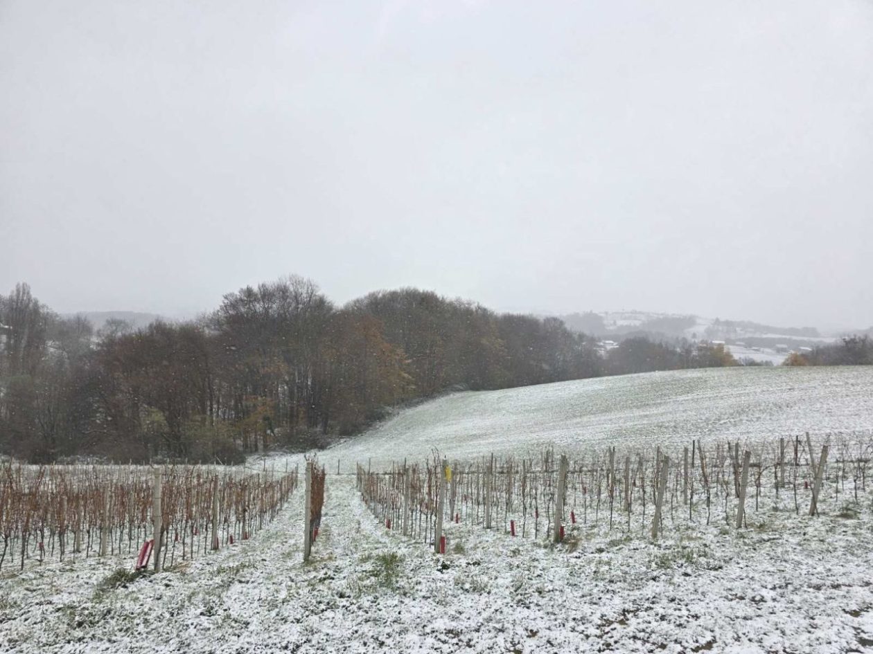 Gornje Međimurje, snijeg, pahulje 2025 zima (19)