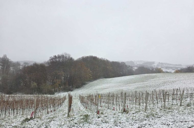 Gornje Međimurje, snijeg, pahulje 2025 zima (19)