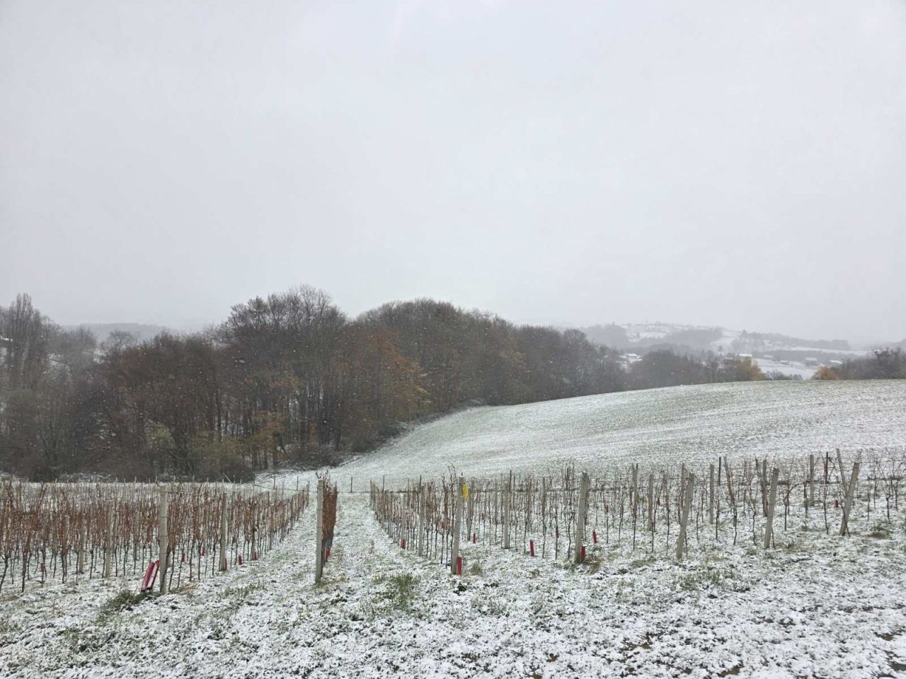 Gornje Međimurje, snijeg, pahulje 2025 zima (19)