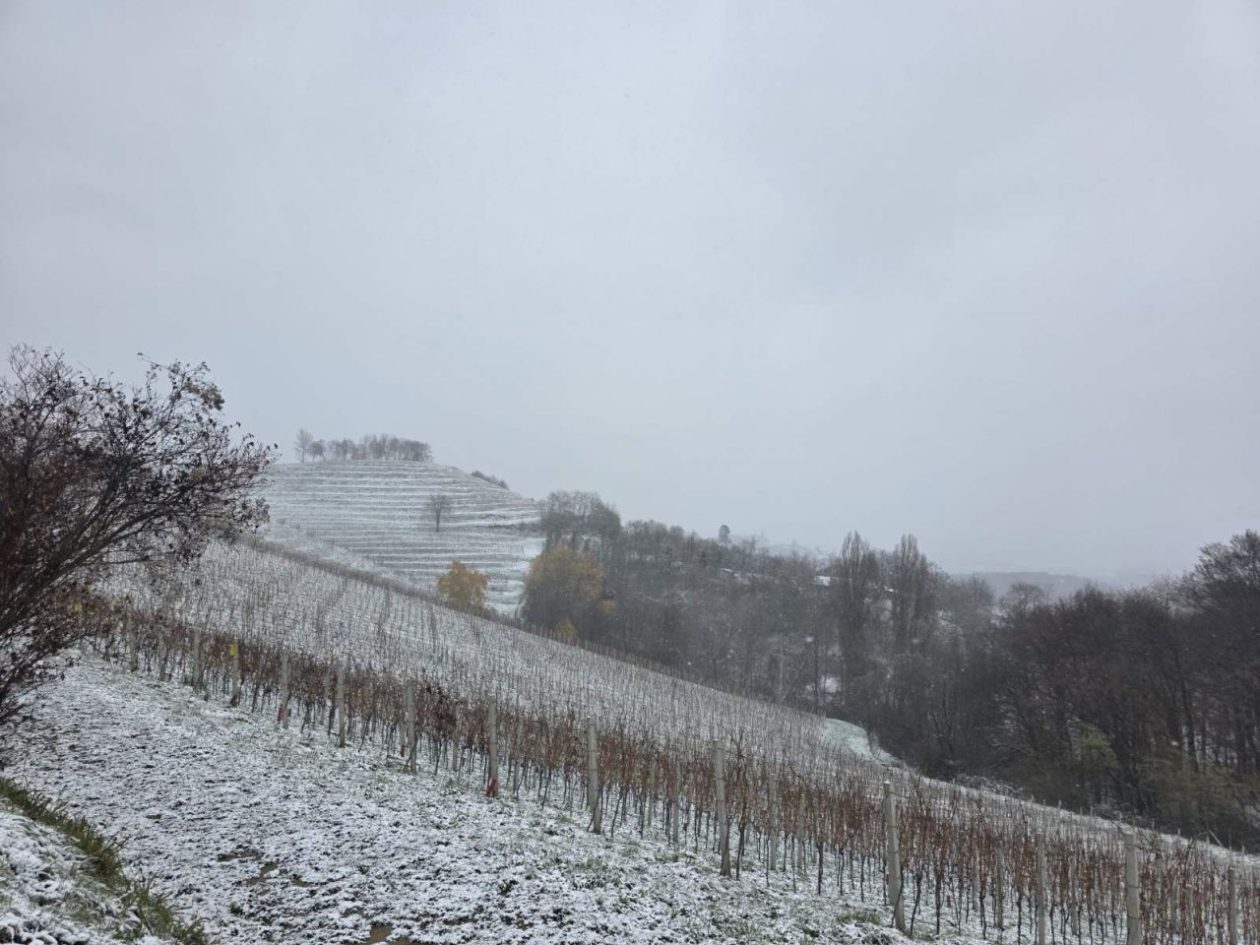 Gornje Međimurje, snijeg, pahulje 2025 zima (20)