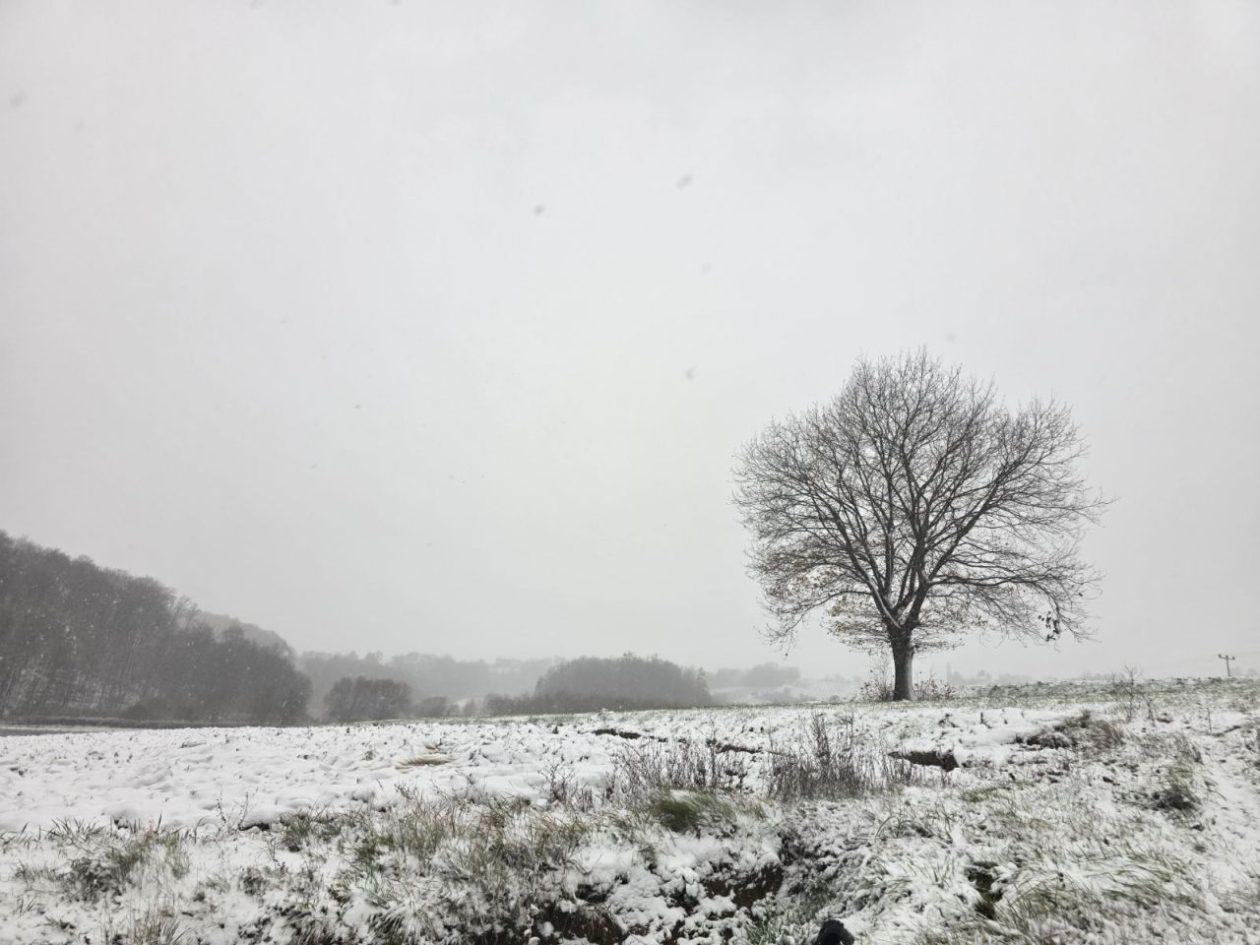 Gornje Međimurje, snijeg, pahulje 2025 zima (9)