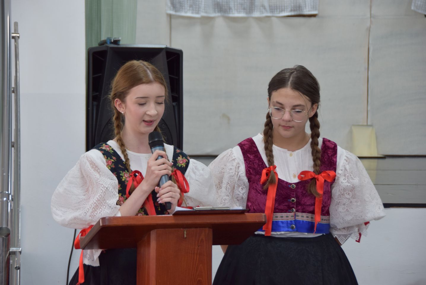 Gornji Kraljejvec dan mjesta 2025 (50) Gornji Kraljejvec dan mjesta 2025 (50)