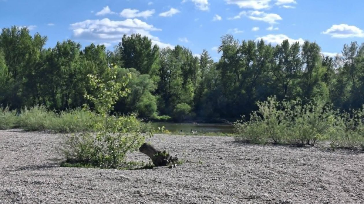 Gornji Kuršanec plaža 2026 prvi maj (12)