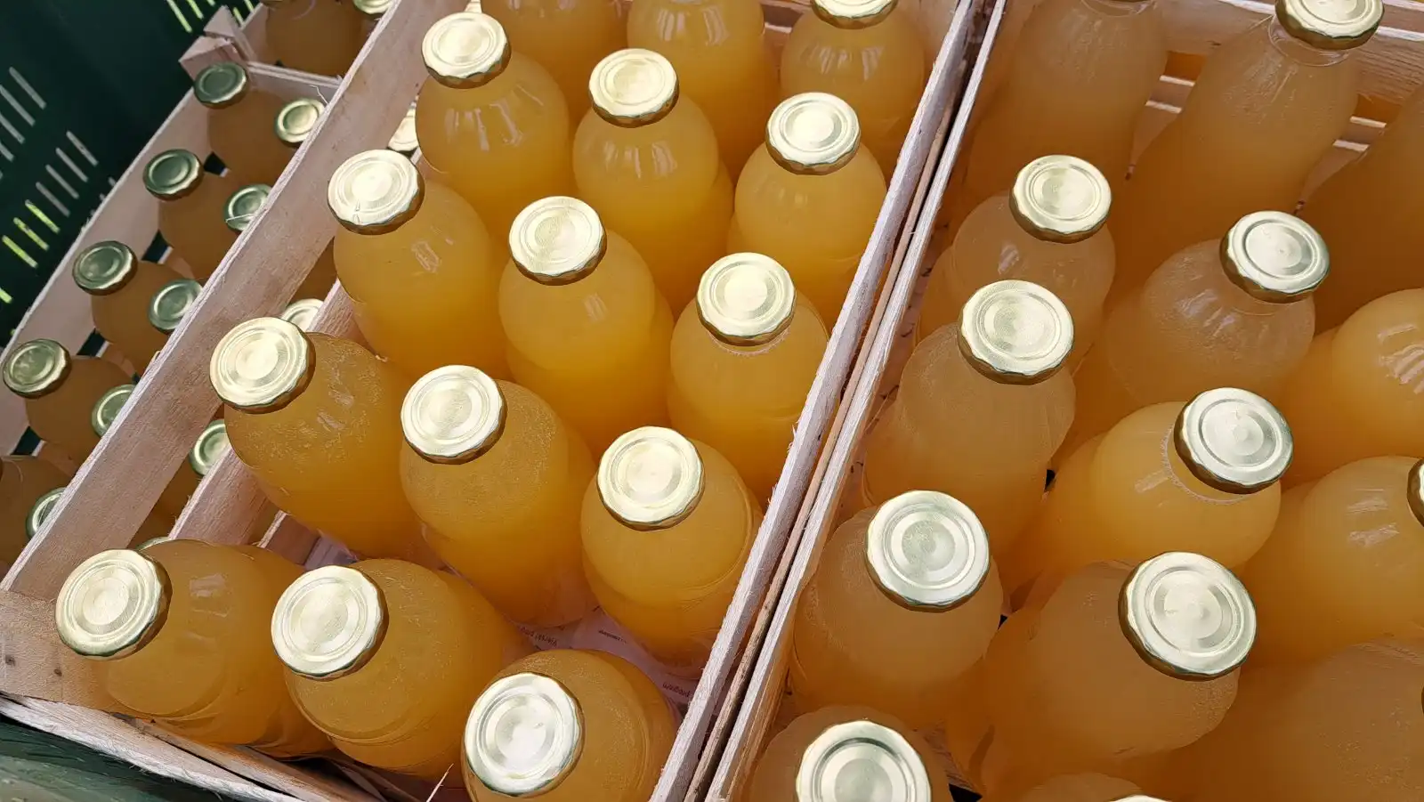 Gospodarska škola Čakovec (1) Gospodarska škola Čakovec (1)