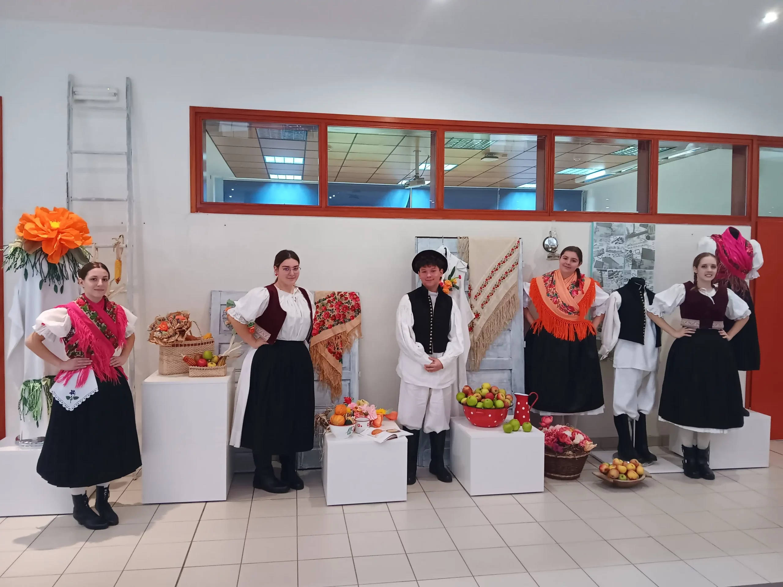 Gospodarska škola Čakovec (9) Gospodarska škola Čakovec (9)