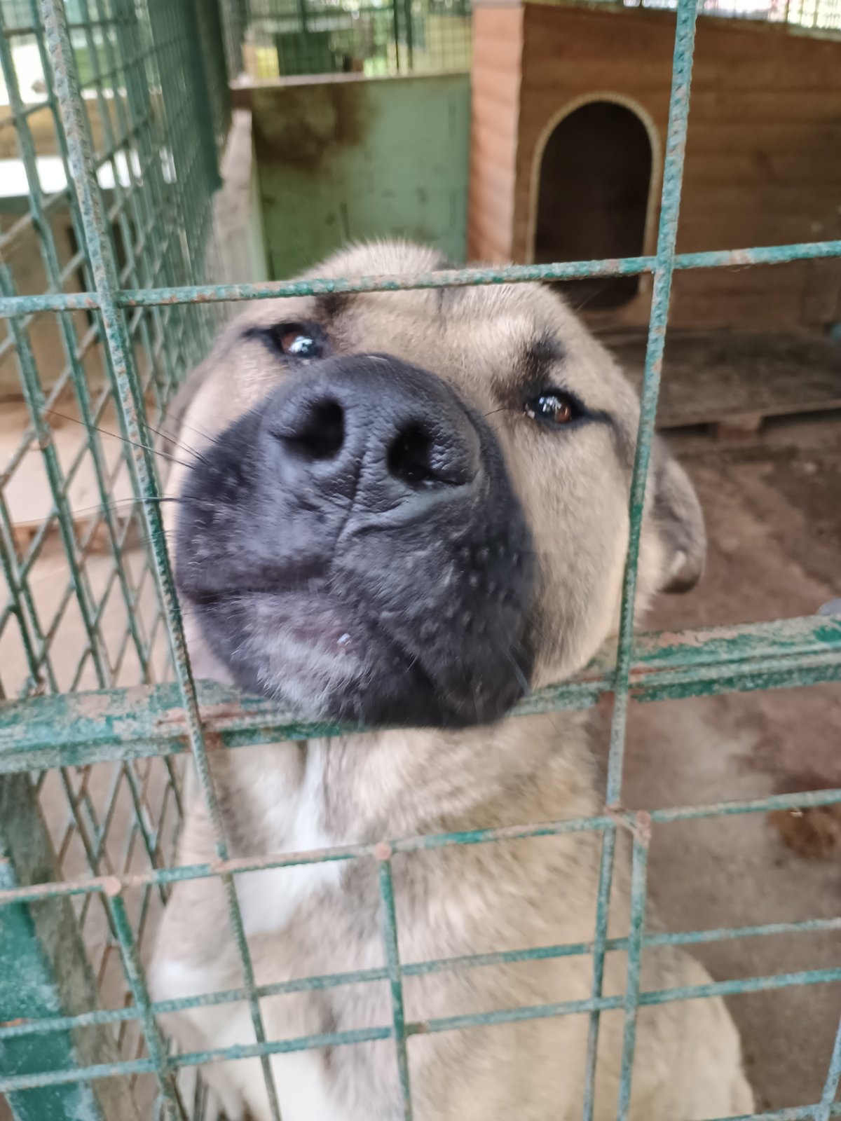Gospodarska škola Čakovec Azil (1)