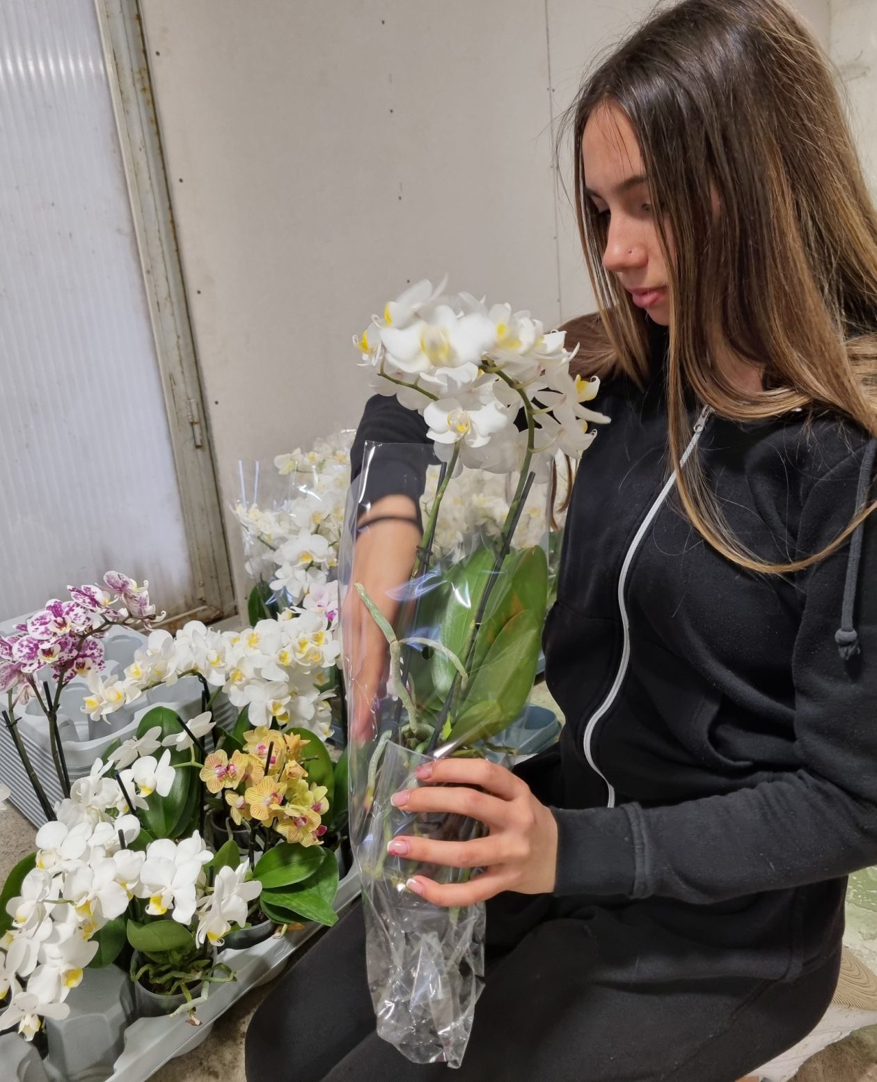 Gospodarska škola Čakovec cvijeće (13)