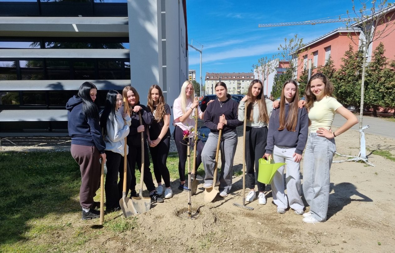 Gospodarska škola Čakovec sadnja stabla (1)