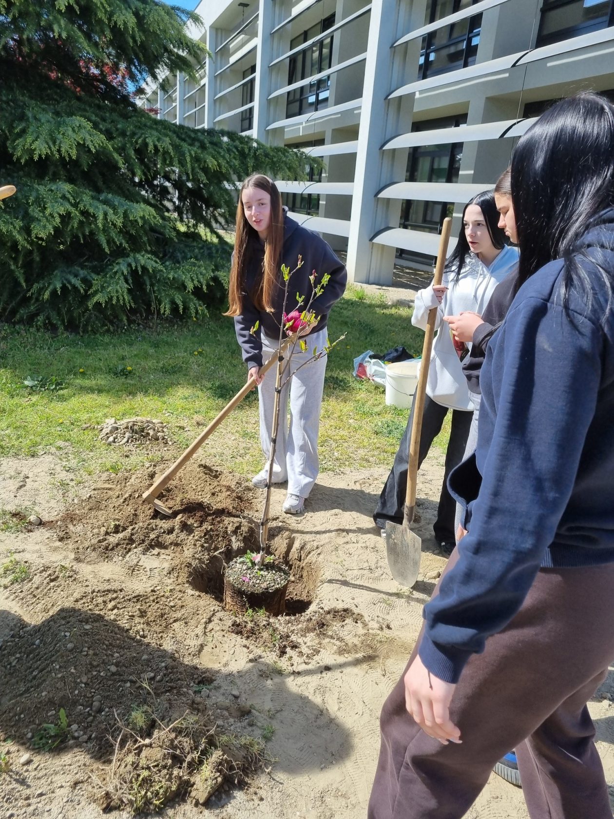 Gospodarska škola Čakovec sadnja stabla (5)