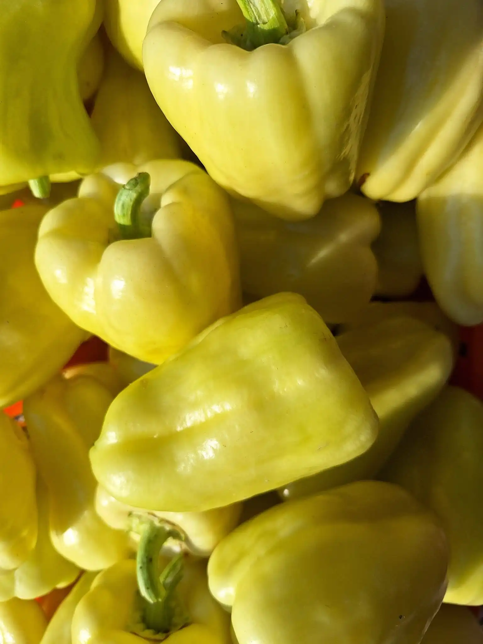 Gospodarska škola čakovec (10)