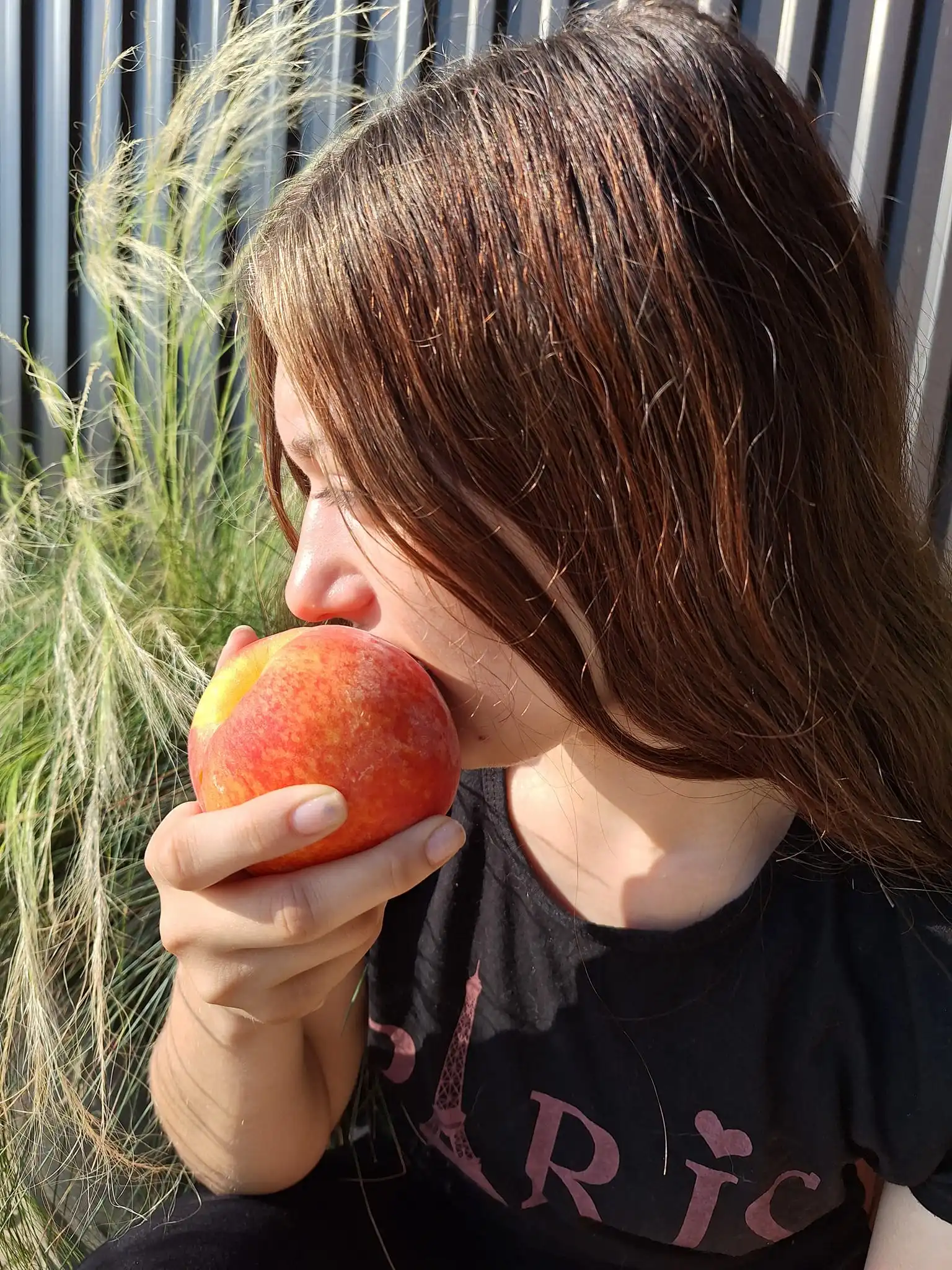 Gospodarska škola čakovec (2)