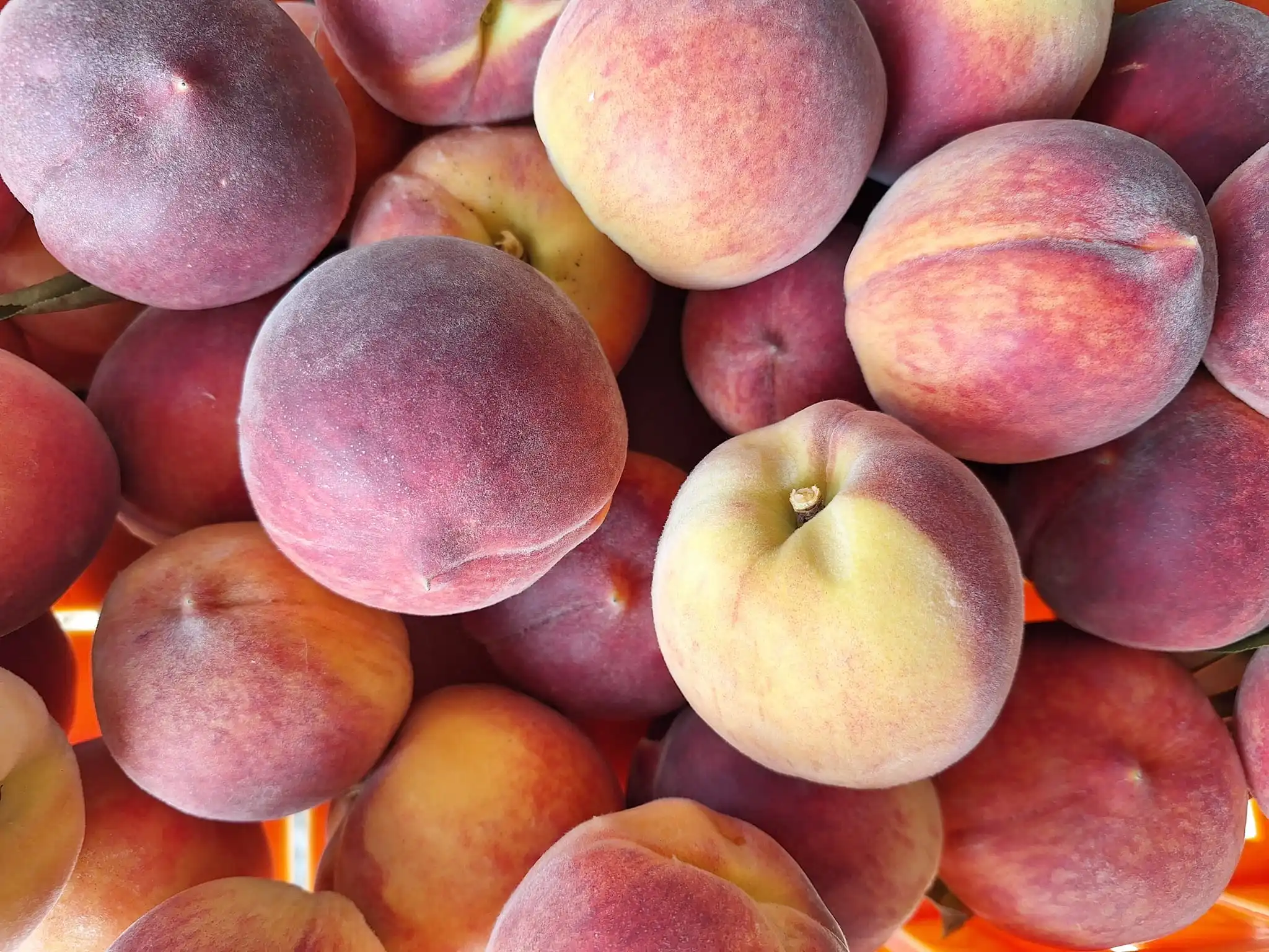 Gospodarska škola čakovec (7)