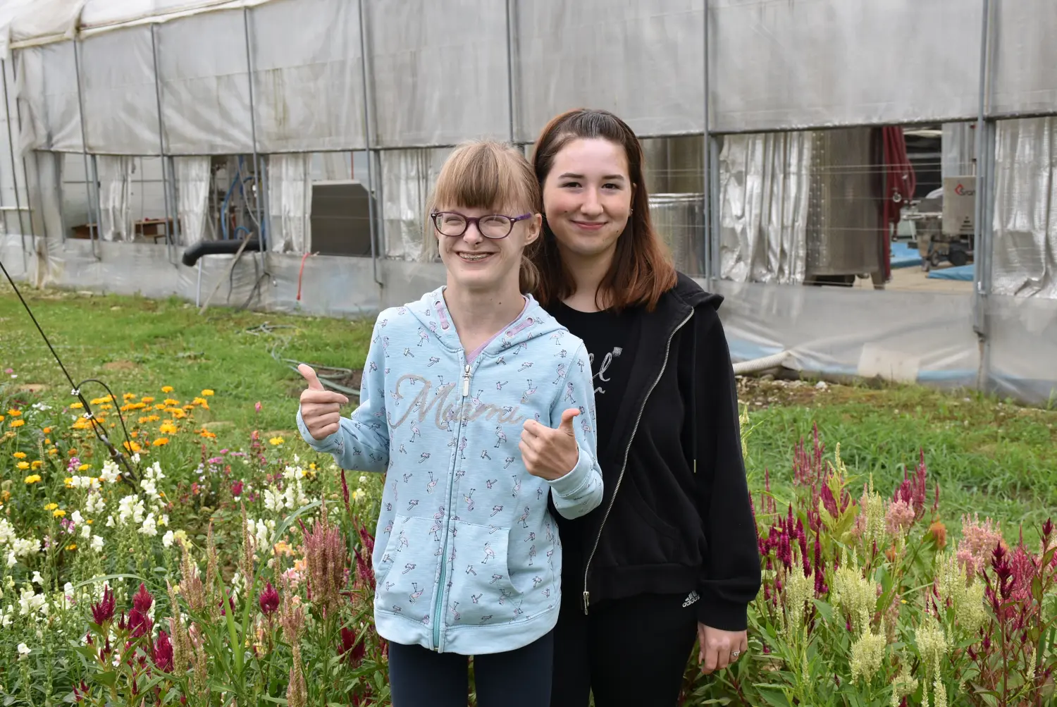 Gospodarska škola,školska ekonomija (1) Gospodarska škola,školska ekonomija (1)