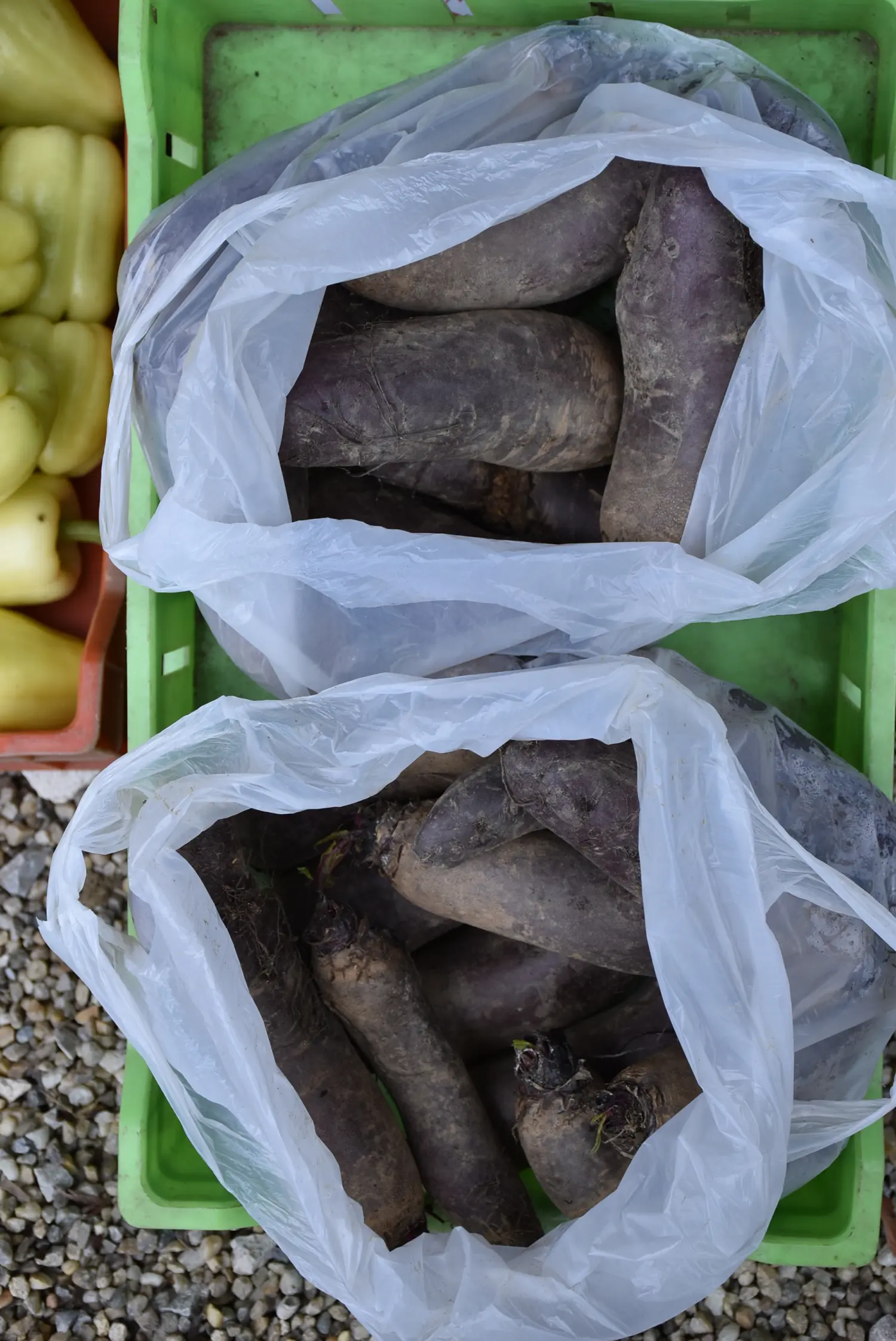 Gospodarska škola,školska ekonomija (10) Gospodarska škola,školska ekonomija (10)