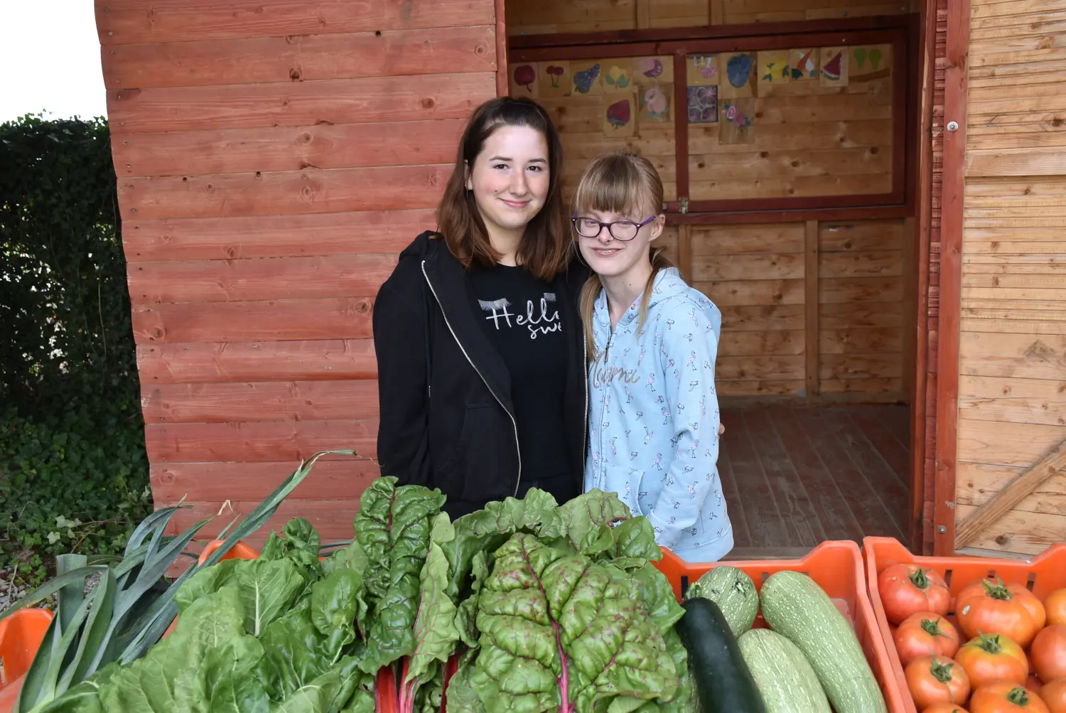 Gospodarska škola,školska ekonomija (11) Gospodarska škola,školska ekonomija (11)