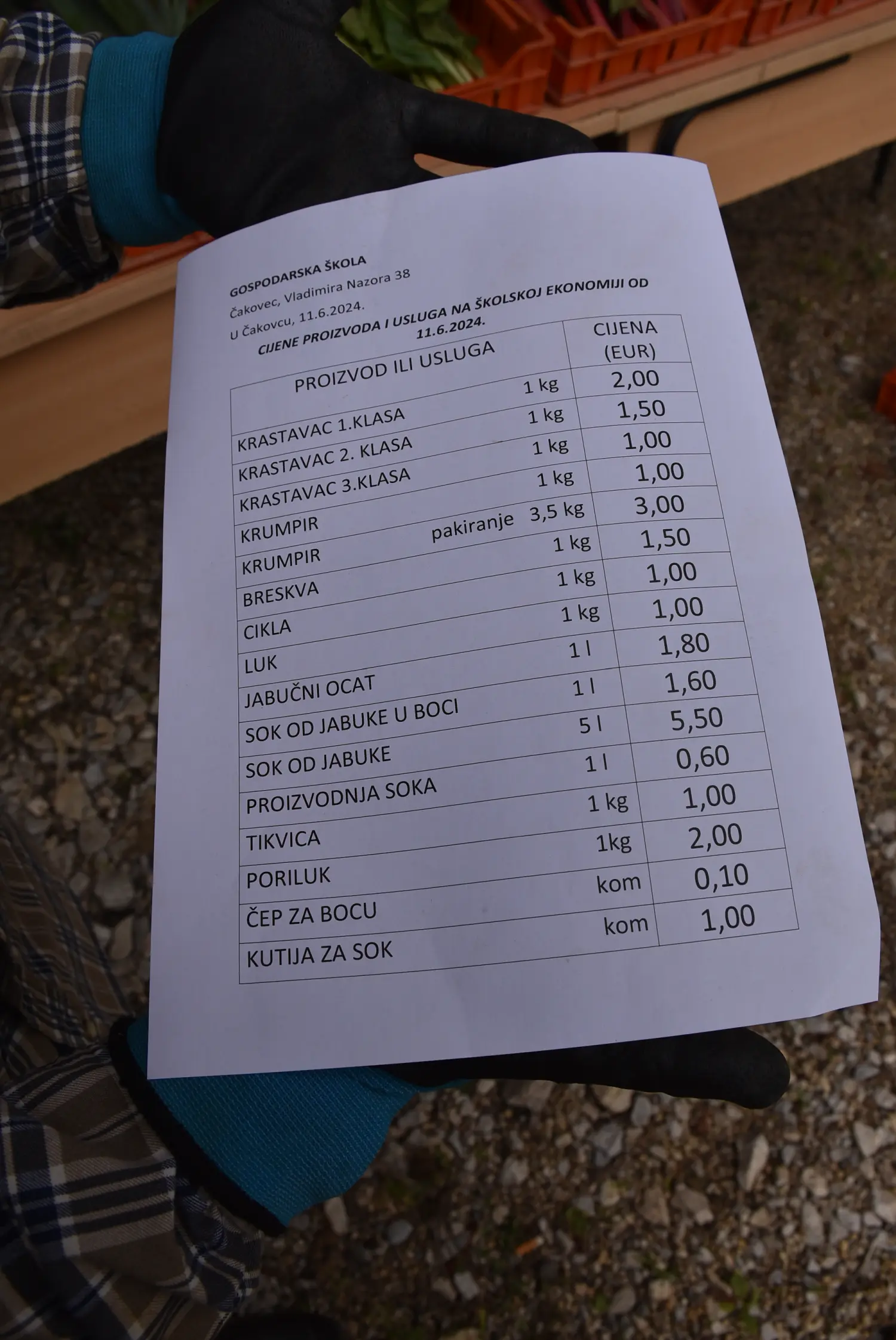 Gospodarska škola,školska ekonomija (12) Gospodarska škola,školska ekonomija (12)