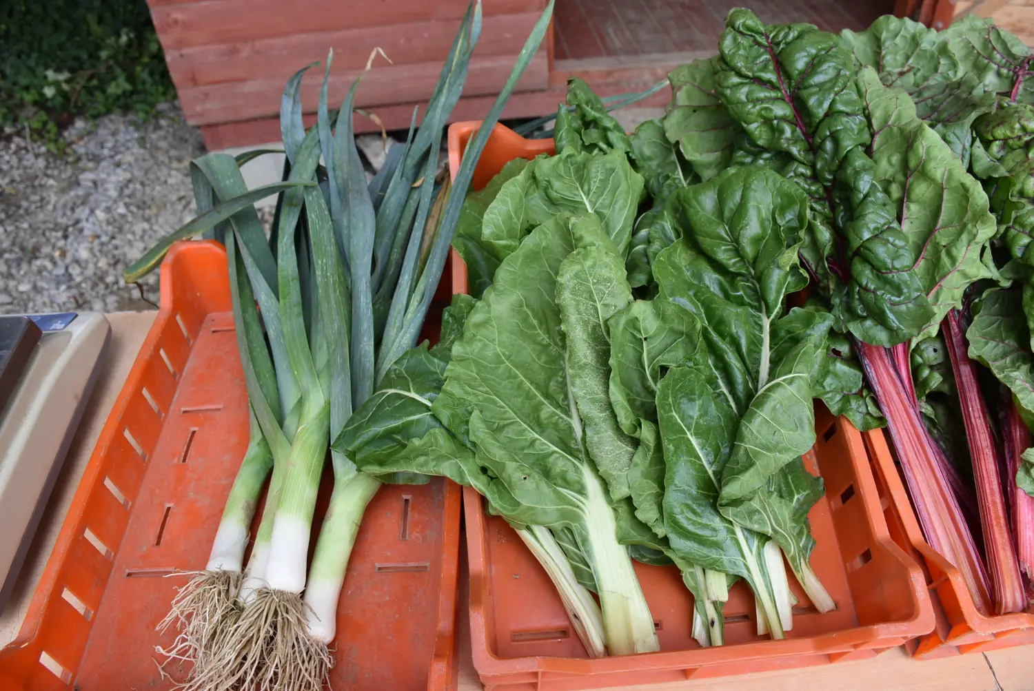 Gospodarska škola,školska ekonomija (4) Gospodarska škola,školska ekonomija (4)