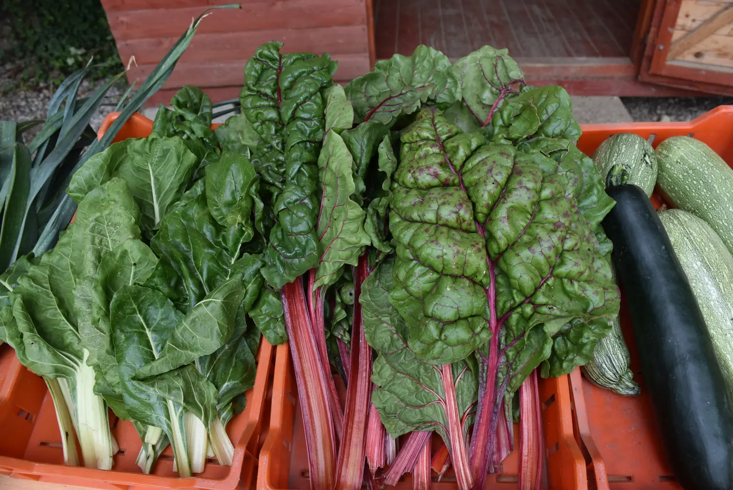 Gospodarska škola,školska ekonomija (5) Gospodarska škola,školska ekonomija (5)