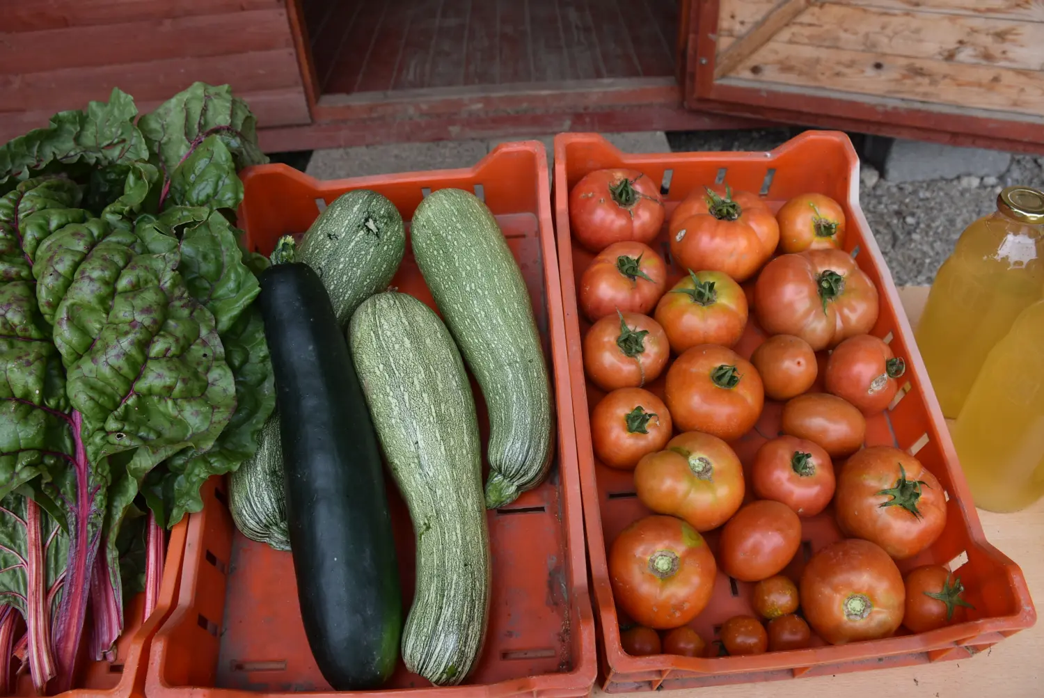 Gospodarska škola,školska ekonomija (6) Gospodarska škola,školska ekonomija (6)