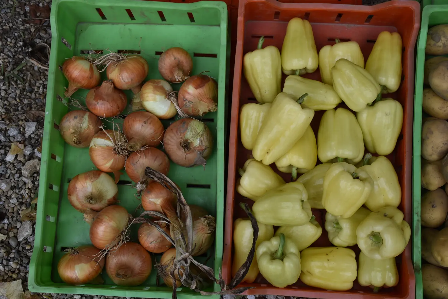 Gospodarska škola,školska ekonomija (8) Gospodarska škola,školska ekonomija (8)