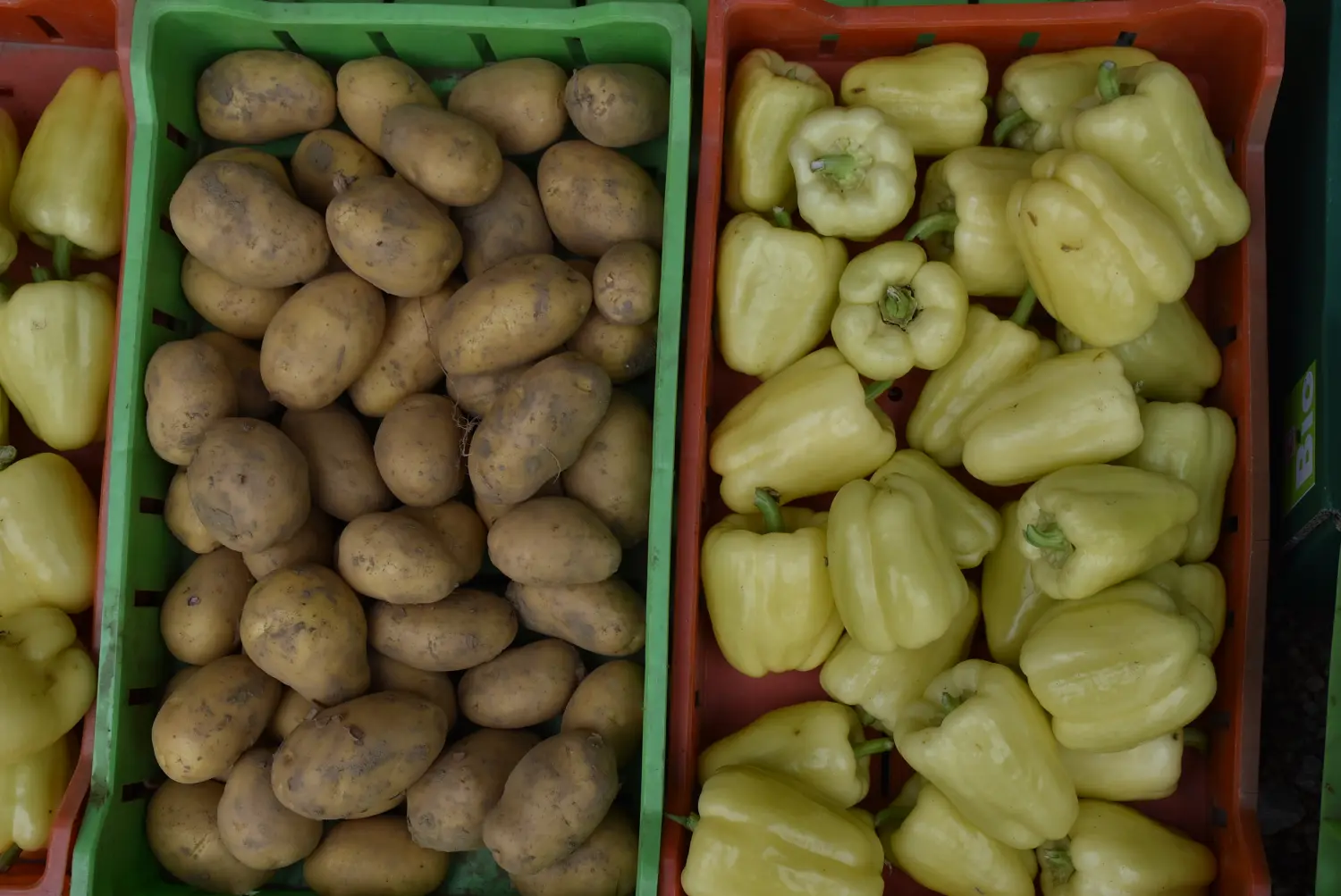 Gospodarska škola,školska ekonomija (9) Gospodarska škola,školska ekonomija (9)