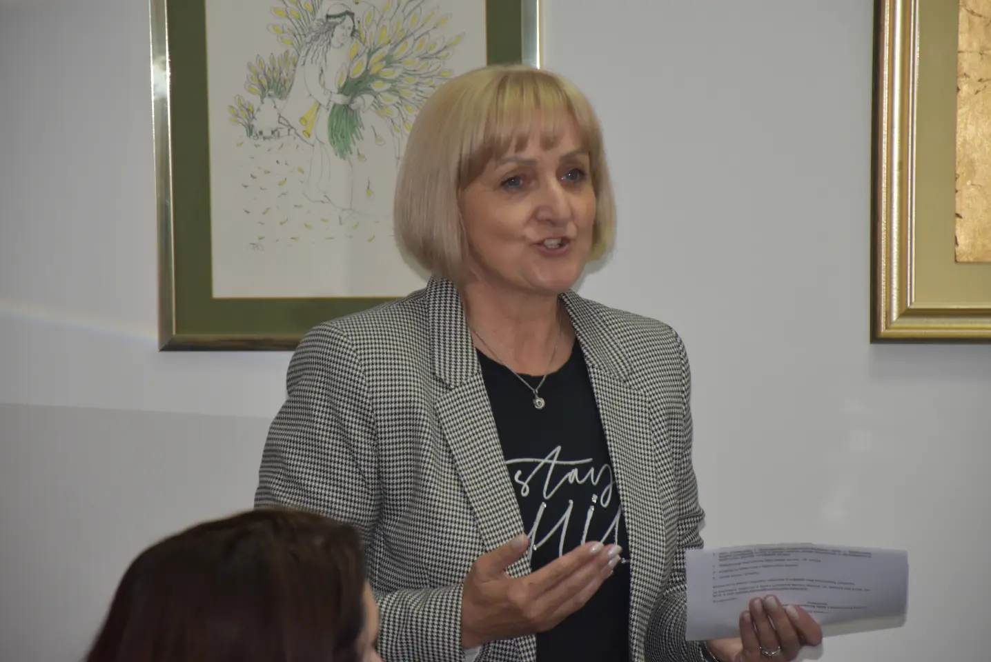 Gospodarsko-socijalno vijeće, Čakovec, Međimurska županija (11)