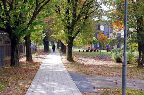 Grad Čakovec radovi1222