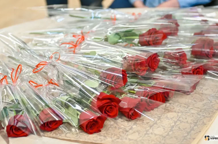 Grad Prelog dan žena studio Vipro (5)