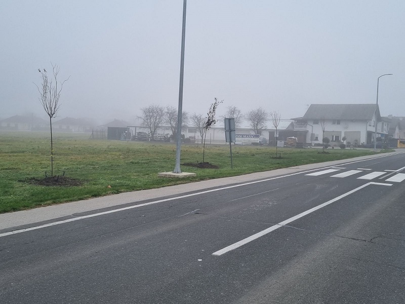 Grad Prelog zeleno (1)