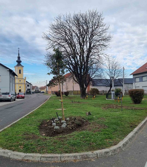 Grad Prelog zeleno (10)