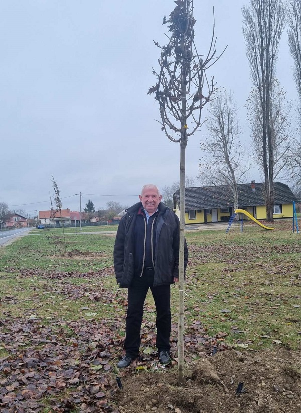 Grad Prelog zeleno (3)