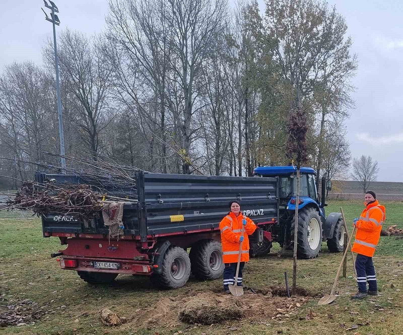 Grad Prelog zeleno (4)