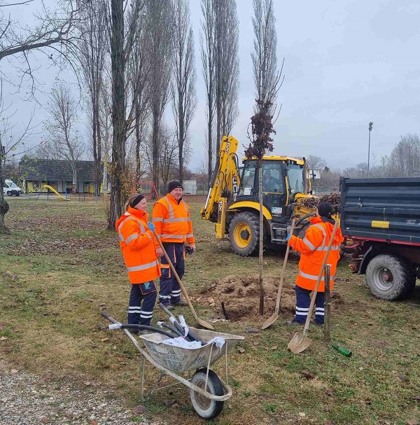 Grad Prelog zeleno (5)