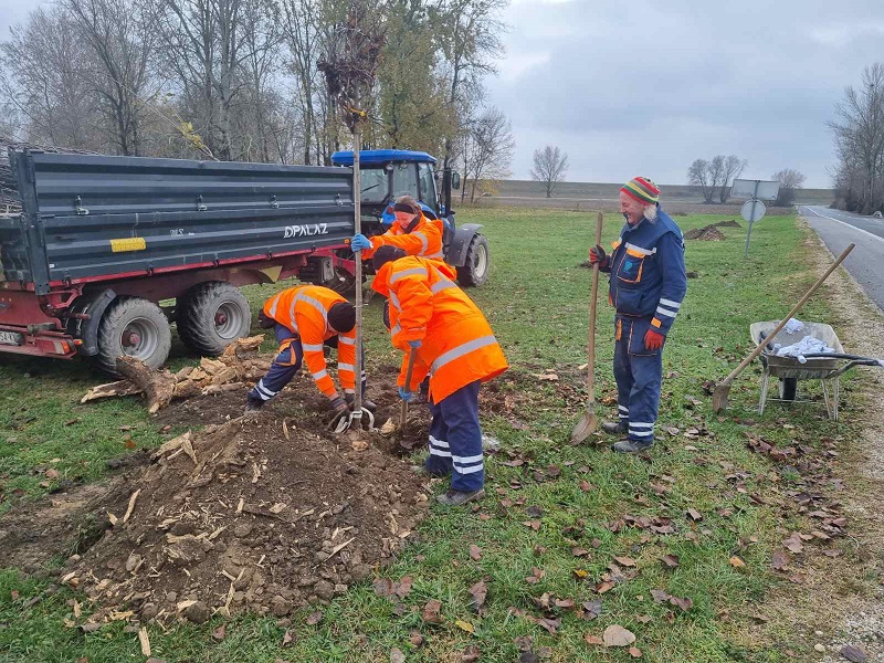 Grad Prelog zeleno (6)