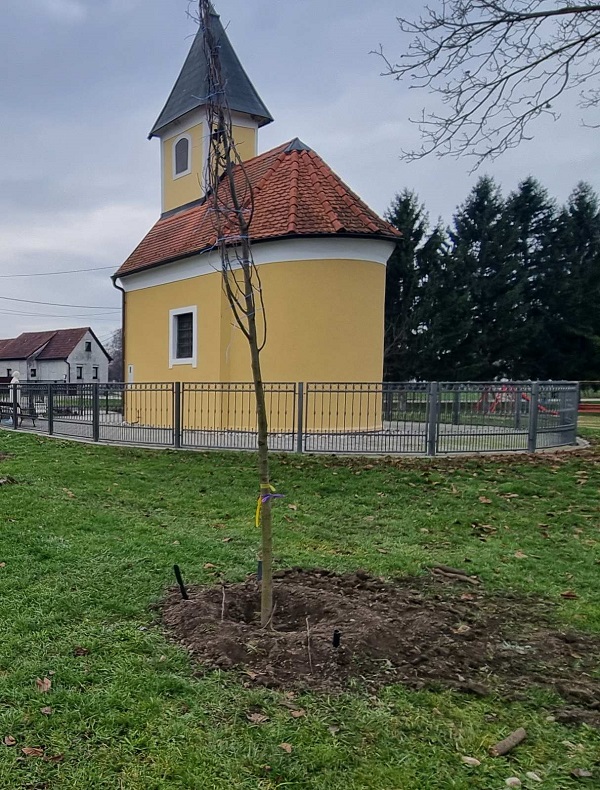 Grad Prelog zeleno (7)