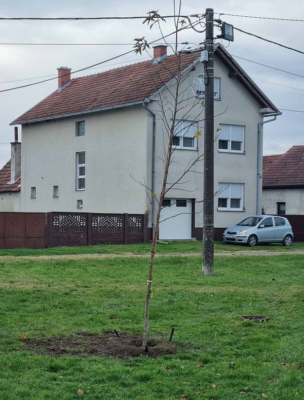 Grad Prelog zeleno (8)