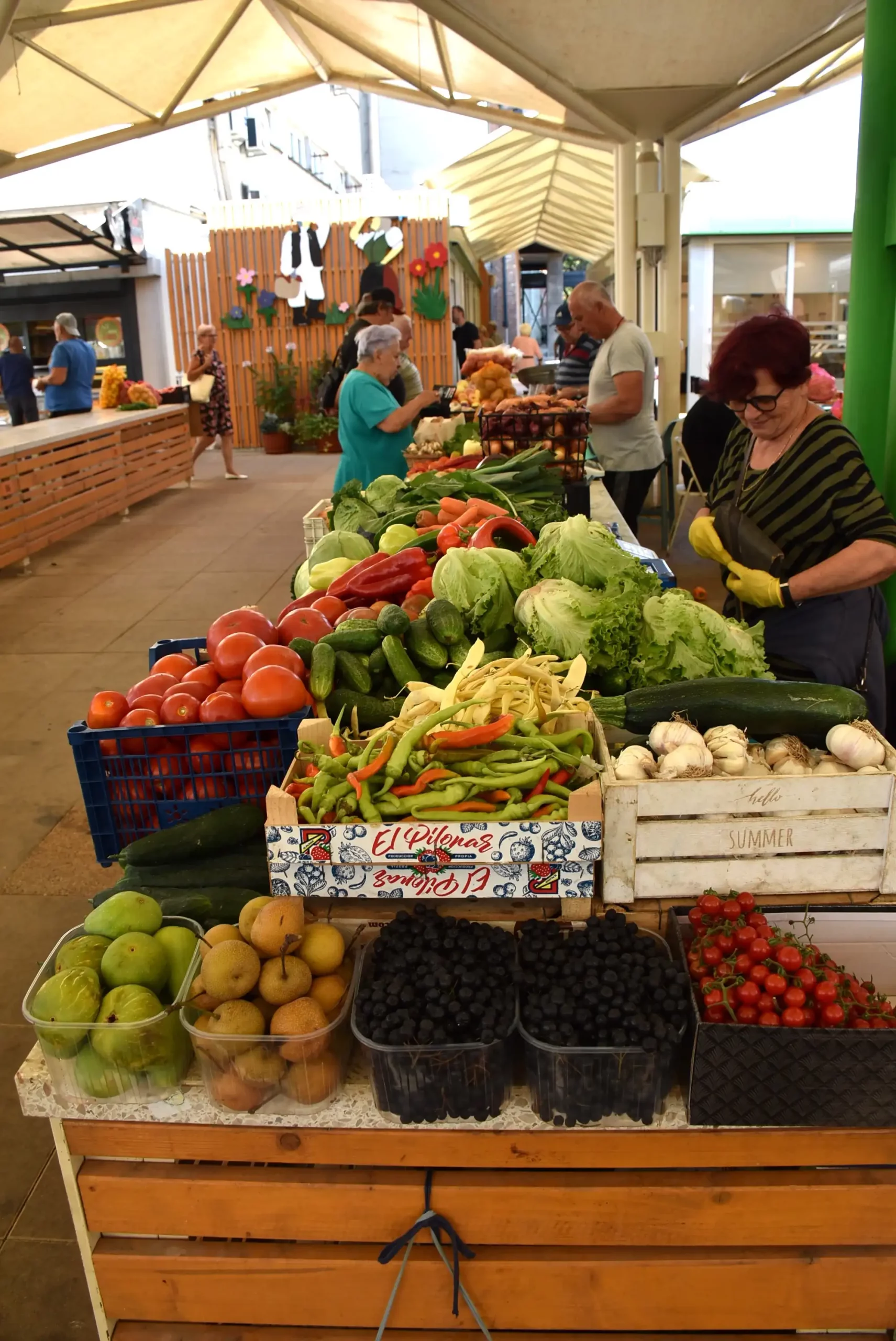 Gradska tržnica 23. kolovoz (20)