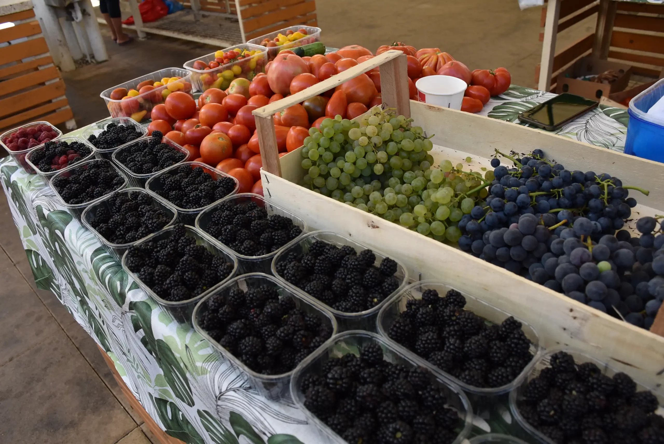 Gradska tržnica 23. kolovoz (25)