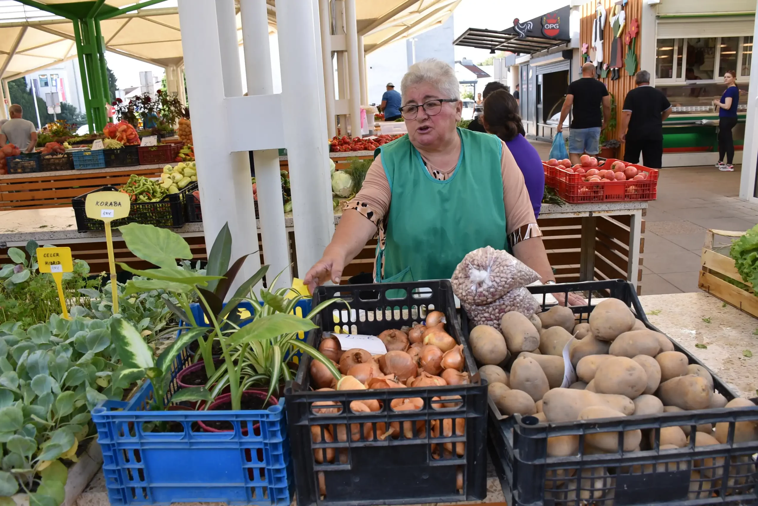 Gradska tržnica 23. kolovoz (31)