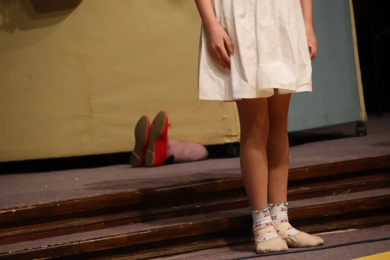 Gradsko dječje kazalište Čakovec (15)