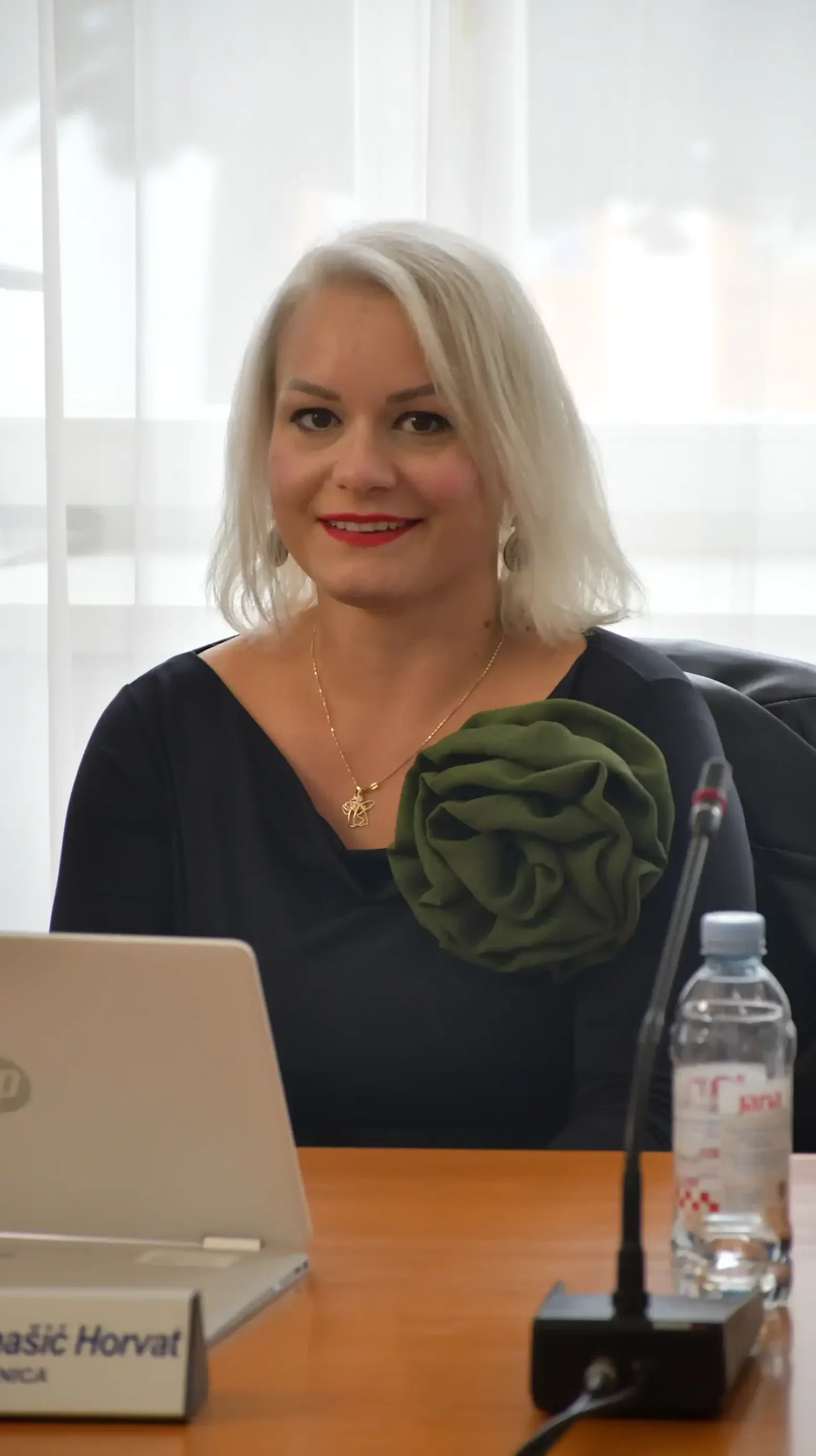 Gradsko vijeće grada Čakovca (4) vesna baranašić