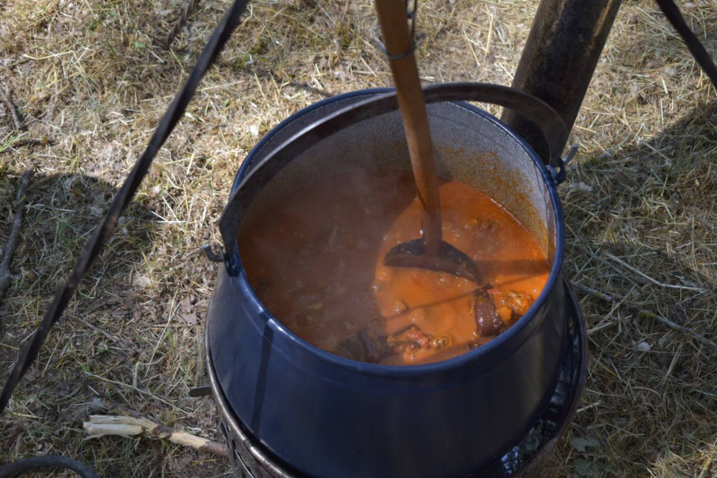 Grahfest Turčišće 2025 (6)