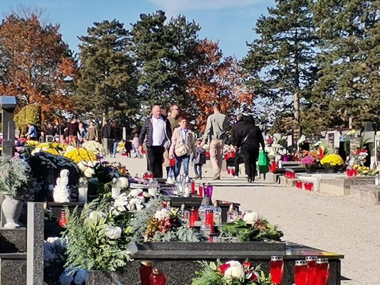 Groblje Mihovljan (1)