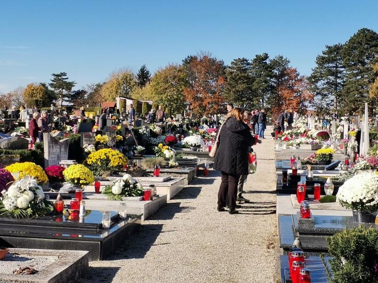 Groblje Mihovljan (3)