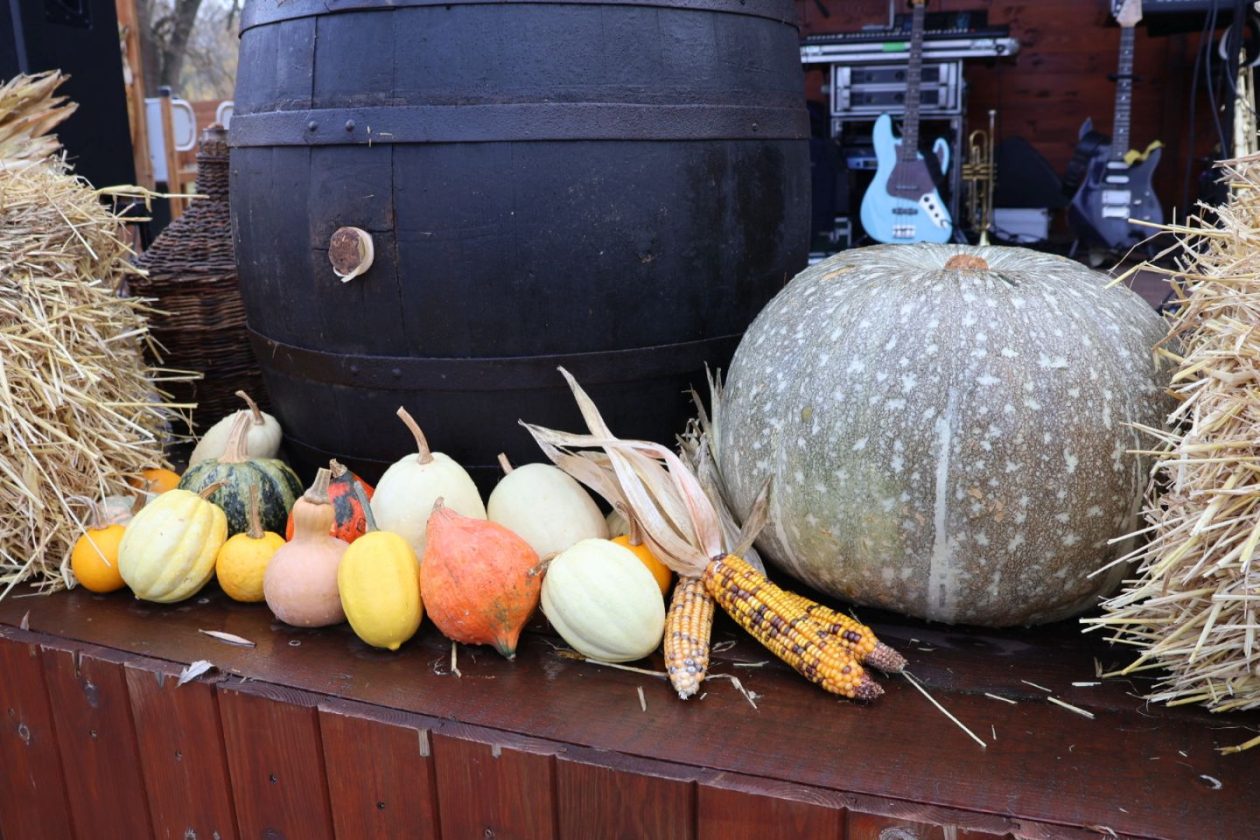 Gulašijada sv. martin na muri 2025 (13)