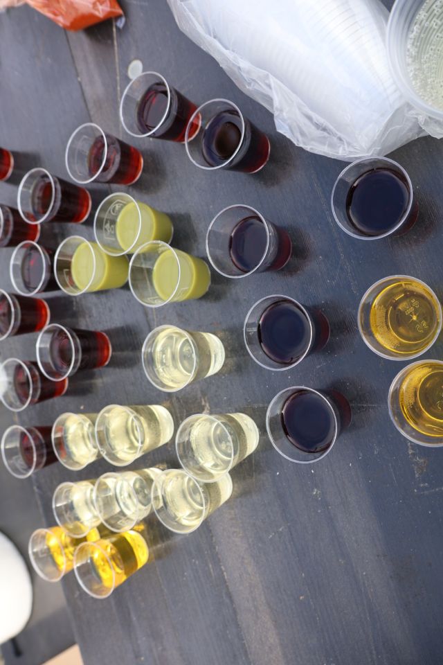 Gulašijada sv. martin na muri 2025 (45)