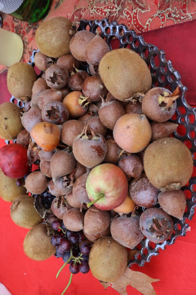 Gulašijada sv. martin na muri 2025 (98)